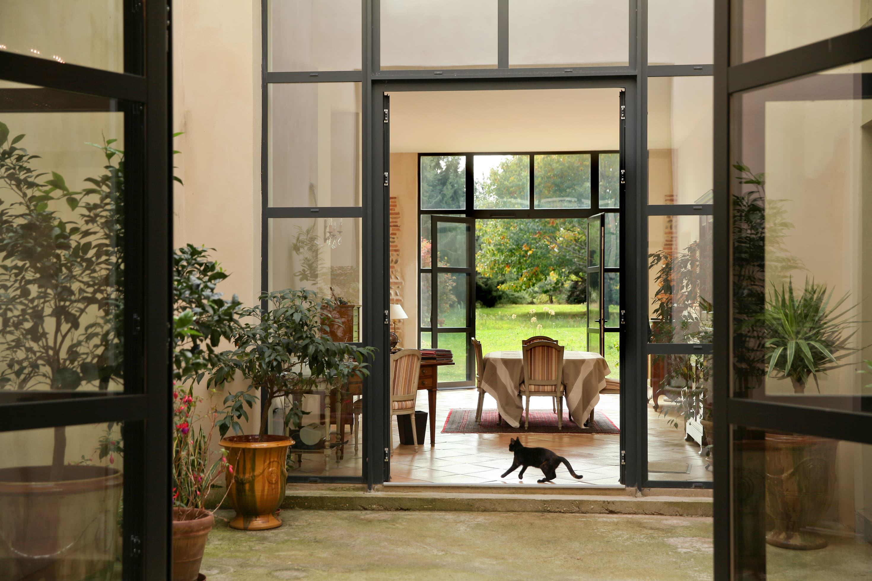 Vue depuis une courette à travers des portes vitrées à ossature d'acier sur la galerie et sa table dressée ouverte sur le parc, un chat traversant le seuil