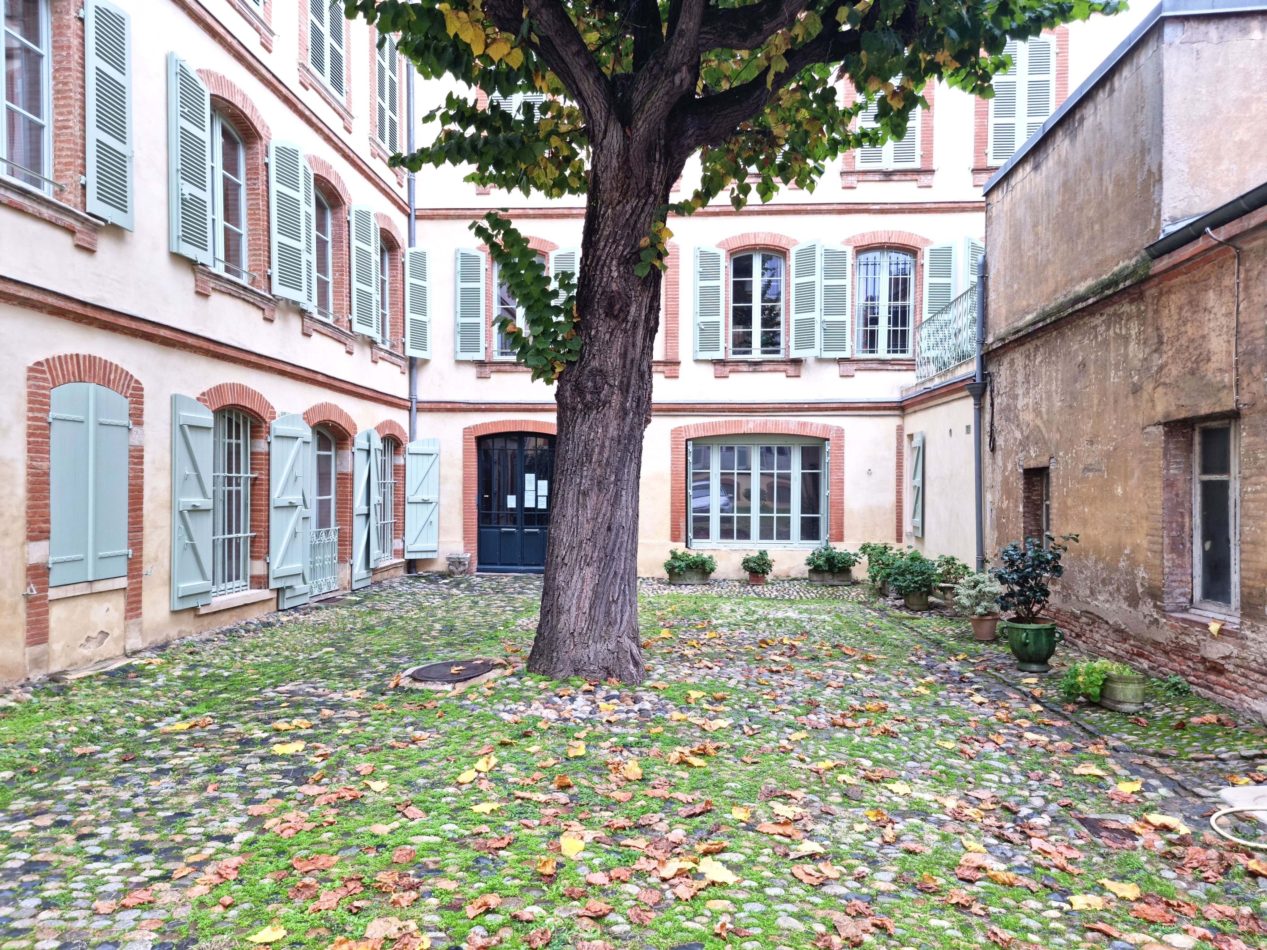 Cour pavée d'un hôtel particulier toulousain avec un grand tilleul, façades en brique rose et volets vert d'eau, feuilles d'automne au sol